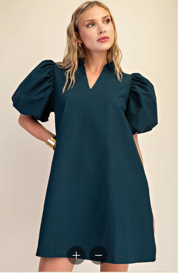 Puff Sleeve Mini Dress