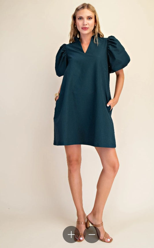 Puff Sleeve Mini Dress
